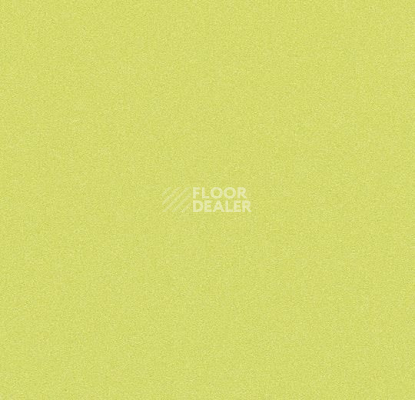 Линолеум Forbo Modul'up Compact Colour 4818UP43C lime stardust фото 1 | FLOORDEALER